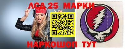 apvp Камышлов