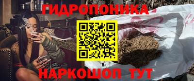 apvp Камышлов