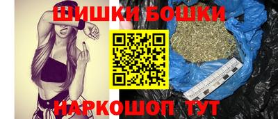 apvp Камышлов