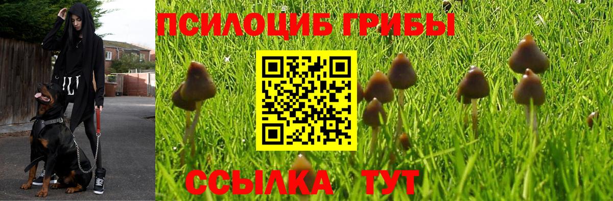 Галлюциногенные грибы ЛСД Лабинск
